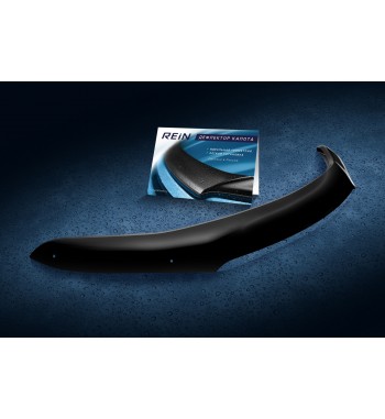 Deflector capota PEUGEOT BOXER 2003-2006 ( REINHD948 ) DEF1