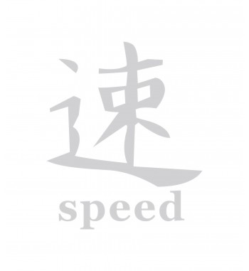 abtibild "speed" diverse culori cod: dz-24 - alb reflectiv dz-24